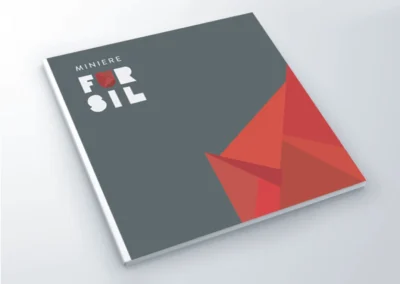 Allestimento Museale Belluno Fursil