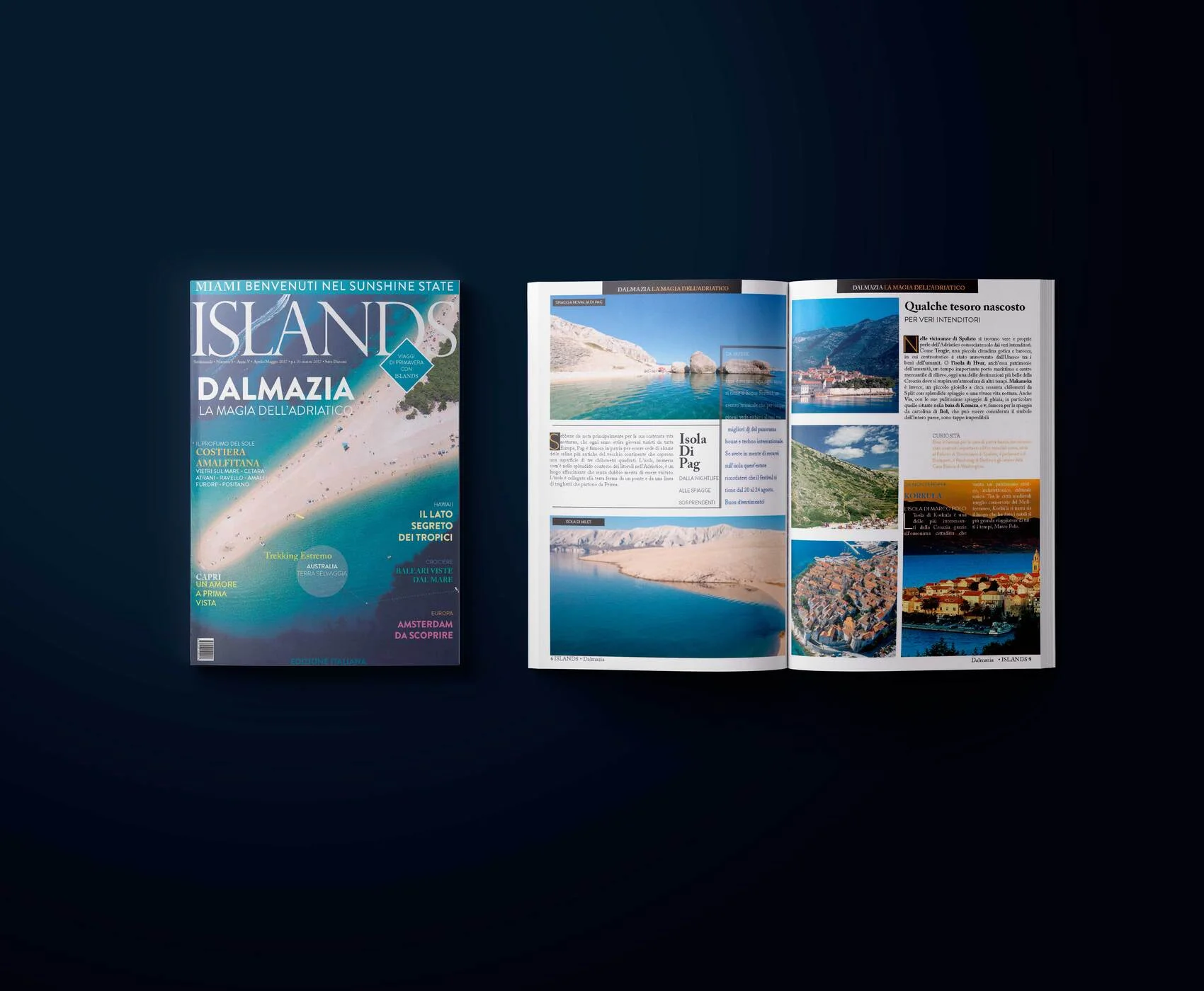 web design studio wolfdazz sara dazzani grafica siti internet siti web ecommerce hosting aruba iubenda gdpr volantini brochure cataloghi ux design ui design portfolio online sito web server ui ux user experience uxdesign uidesign prototipi wireframes siti web personalizzati hosting manutenzione assistenza tecnica sito web cartellonistica grafica volantini brochure logo loghi brand identity biglietti da visita