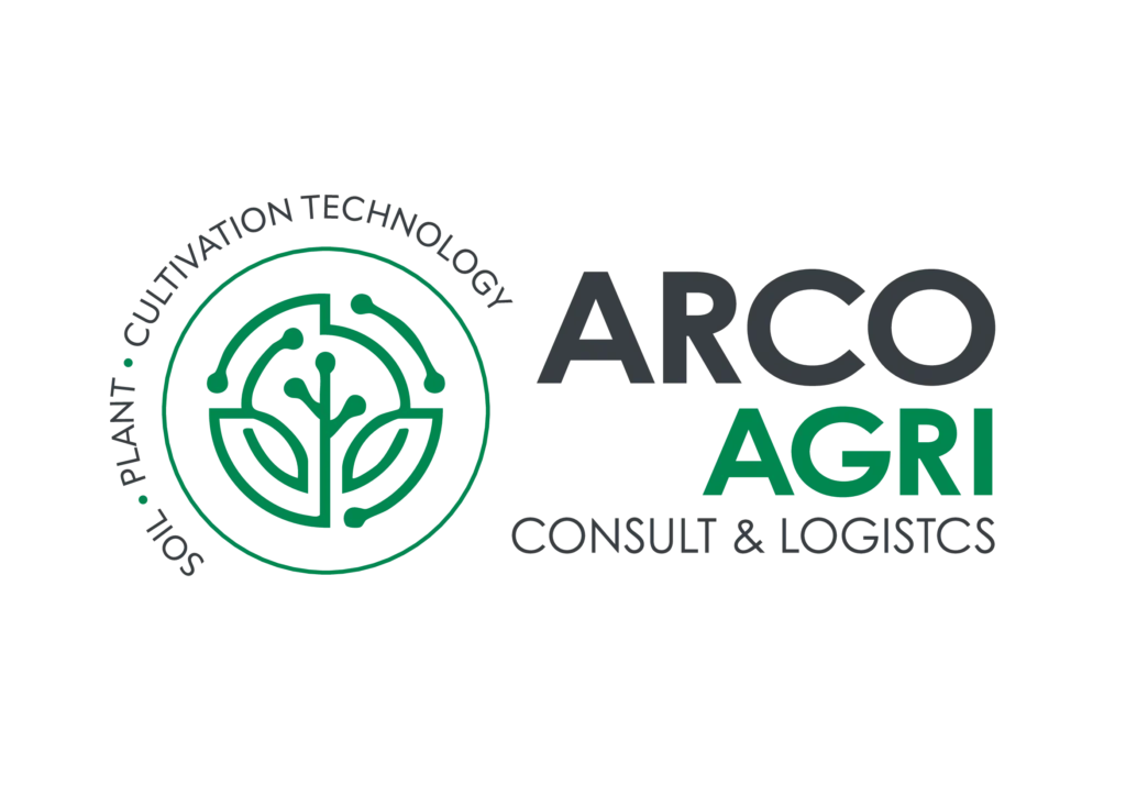 Differenza tra logo e brand identity: la mia opinione da graphic designer Differenza tra logo e brand identity: la mia opinione da graphic designer